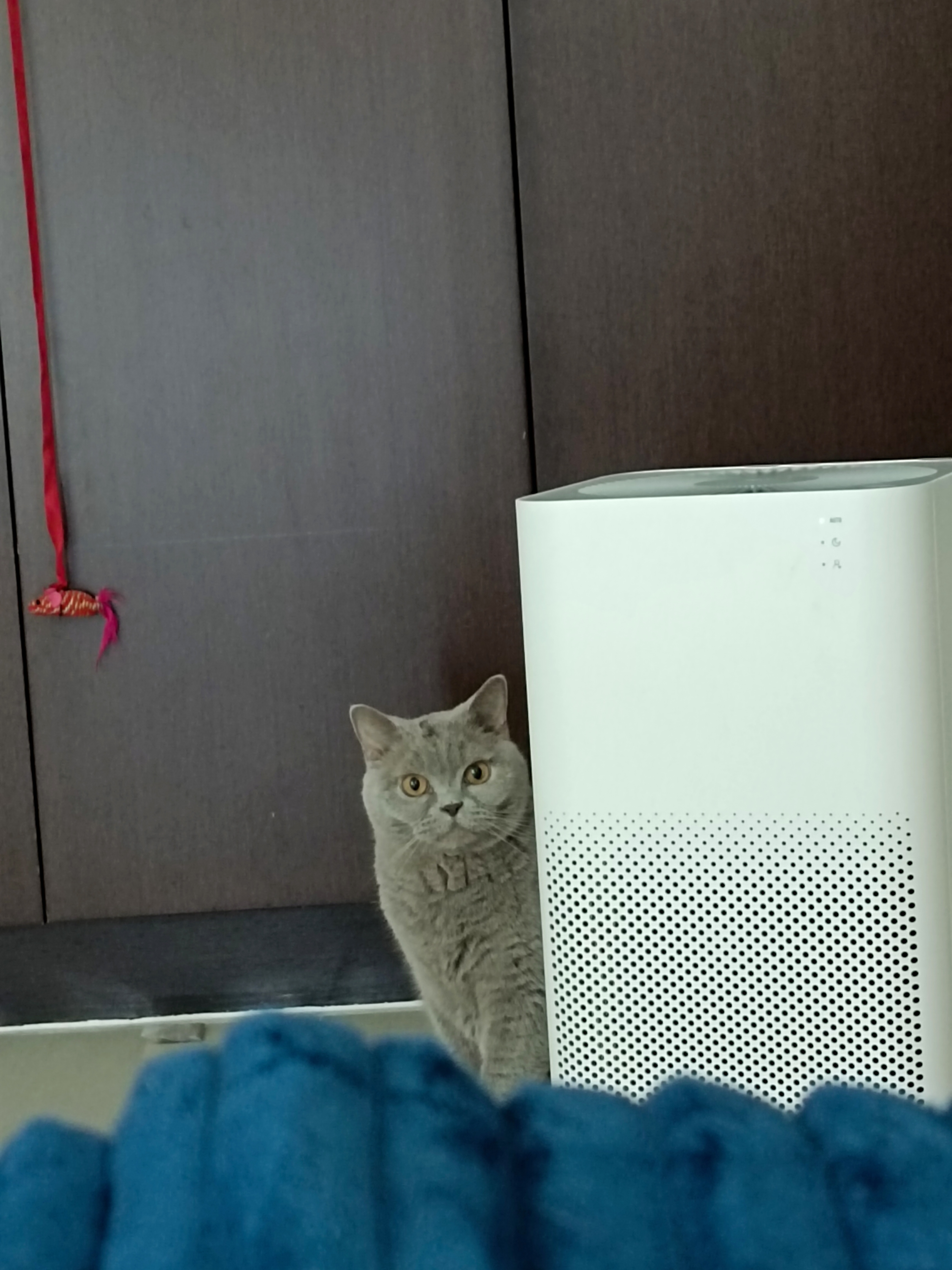 my chud son mitten